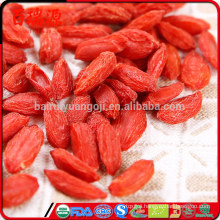 High quality goji berries vietnam organic goji slim goji berry with EU standard
